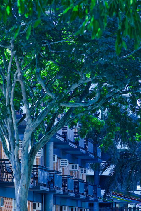 Soho Brisbane - Sunshine Coast Tourism 12