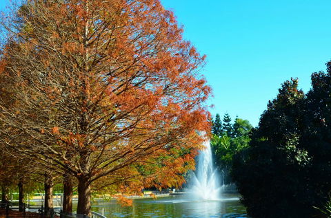 Soho Brisbane - Sunshine Coast Tourism 7