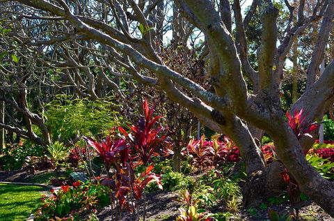 Soho Brisbane - Sunshine Coast Tourism 1