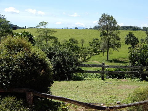 Malanda Manor Guesthouse - Holiday Sunshine Coast 17