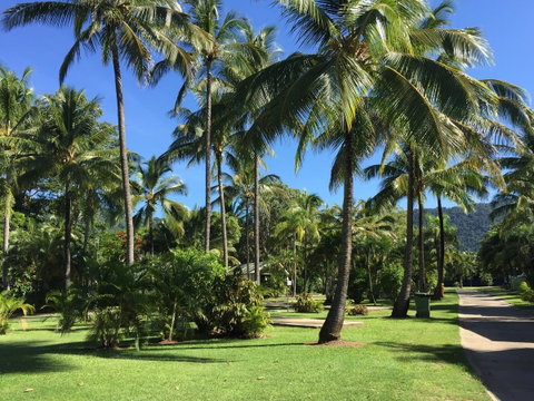 Tasman Holiday Parks - Airlie Beach - Sunshine Coast Tourism 1