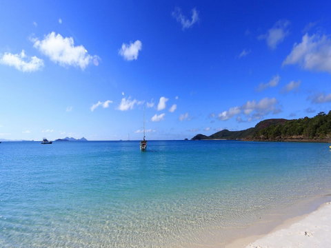Tasman Holiday Parks - Airlie Beach - Sunshine Coast Tourism 19