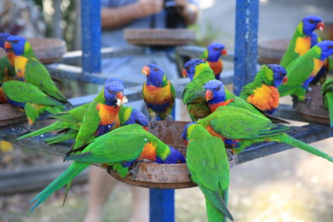 Tasman Holiday Parks - Airlie Beach - Sunshine Coast Tourism 23