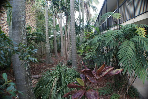 Best Western Airport 85 Motel - Sunshine Coast Tourism 34
