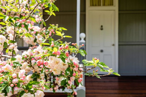 Apple Blossom Cottages - Sunshine Coast Tourism 2