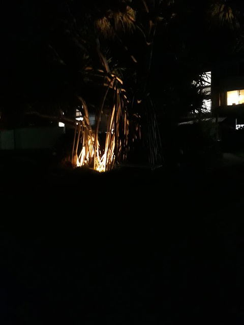 Pandanus Coolum Beach - Sunshine Coast Tourism 8