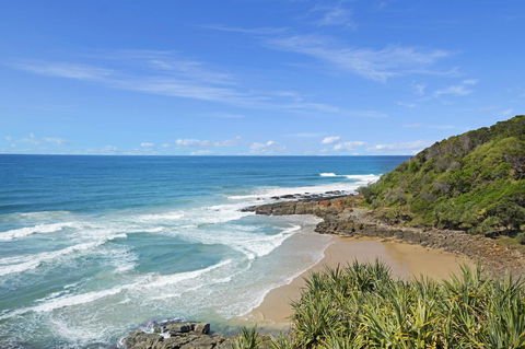 Pandanus Coolum Beach - Sunshine Coast Tourism 12