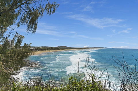 Pandanus Coolum Beach - Sunshine Coast Tourism 17