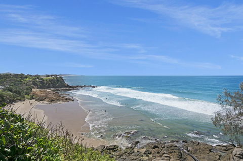Pandanus Coolum Beach - Sunshine Coast Tourism 13
