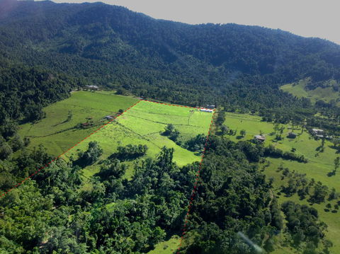 Misty Mountains Rainforest Retreat - Sunshine Coast Tourism 33