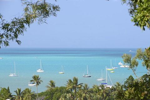 Paddons - Sunshine Coast Tourism 8