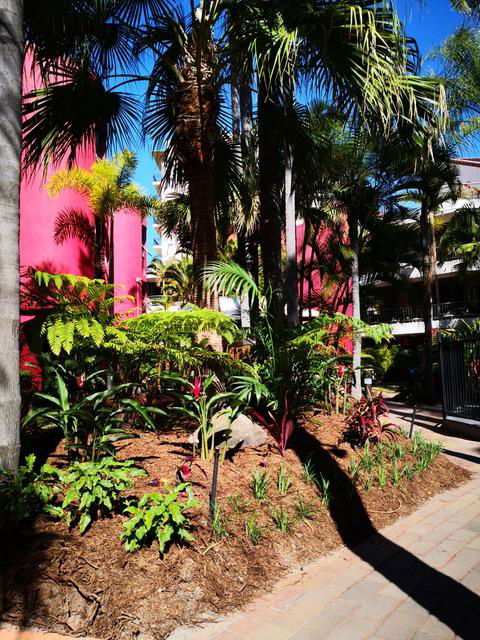 Enderley Gardens Resort - Sunshine Coast Tourism 12