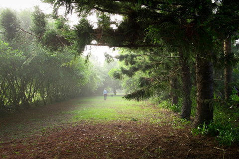 Sharlynn By The River - Holiday Sunshine Coast 2