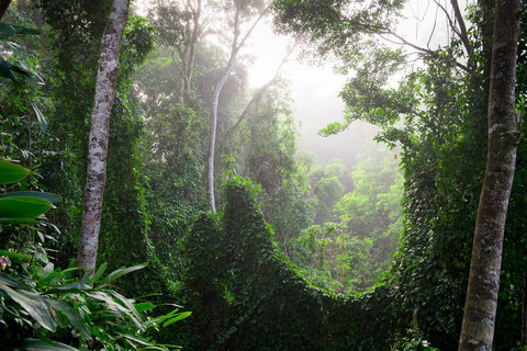 Sharlynn By The River - Holiday Sunshine Coast 29