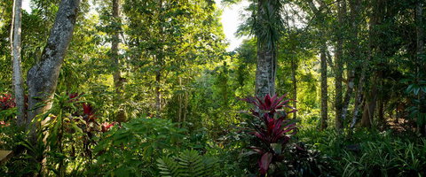 Sharlynn By The River - Holiday Sunshine Coast 5