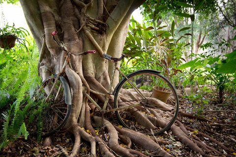 Sharlynn By The River - Holiday Sunshine Coast 27