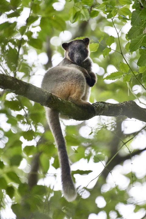 Sharlynn By The River - Holiday Sunshine Coast 28