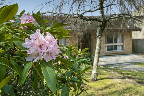 Wentworth Rose - Sunshine Coast Tourism 2