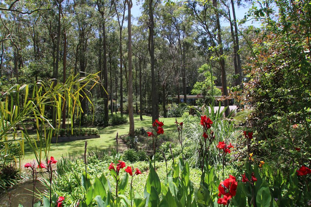 Mount Hutton NSW Sunshine Coast Tourism