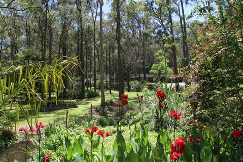 Werekataba - Sunshine Coast Tourism 0