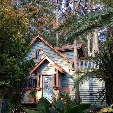 Wild Orchid Olinda - Sunshine Coast Tourism 3