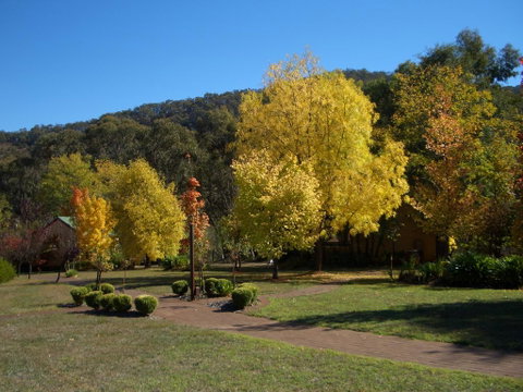 Willowlake Cottages - Sunshine Coast Tourism 0