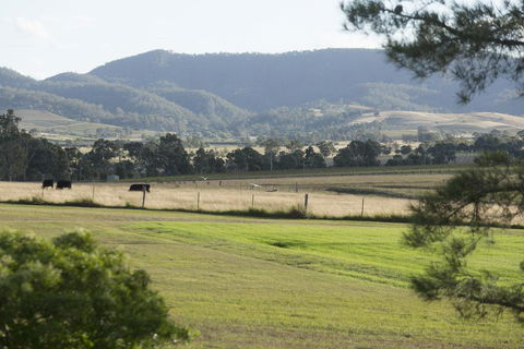 Windarra Lodge - Holiday Sunshine Coast 3