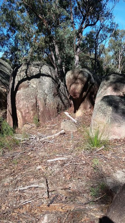 Windswept Country Retreat - Sunshine Coast Tourism 3