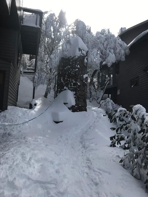Winterbrook Chalet - Sunshine Coast Tourism 2
