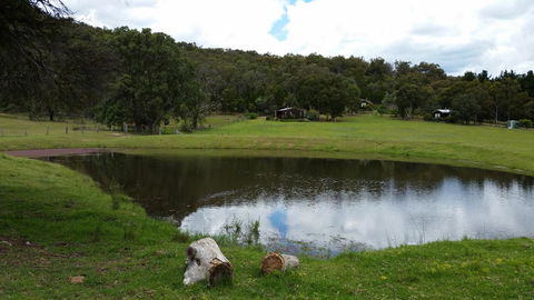 Wisteria Cottage - Sunshine Coast Tourism 1