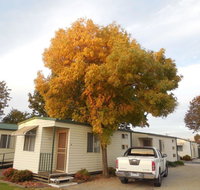Wodonga Caravan  Cabin Park - Sunshine Coast Tourism