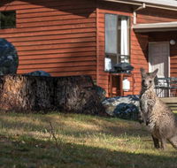 Wonderland Cottages - Holiday Sunshine Coast