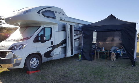 Wonky Stables Holiday Park - Sunshine Coast Tourism 1