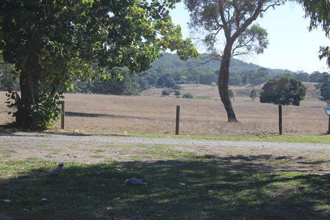 Wonky Stables Holiday Park - Sunshine Coast Tourism 2