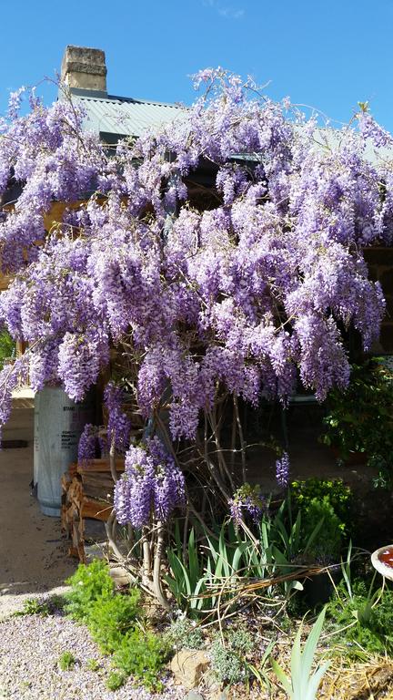 Woodvale At Cooma - Sunshine Coast Tourism 3