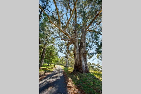 WOOLWAY - Sunshine Coast Tourism 1