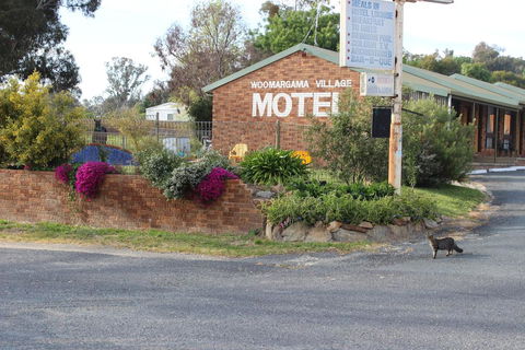 Woomargama Motel - Holiday Sunshine Coast 3