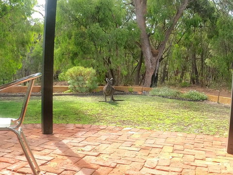 Yallingup Pet Friendly Bush Retreat - Holiday Sunshine Coast 3