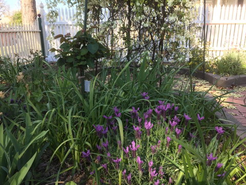 Yapera On Lucan - Sunshine Coast Tourism 2