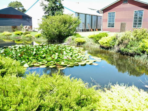 Yarragon Dairy Family Room - Sunshine Coast Tourism 1