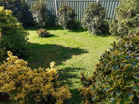 Young Goldrush Motel - Holiday Sunshine Coast 3