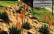 Zebras Guest House Geraldton - thumb 2