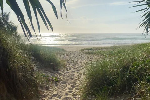 Ziba On Collins - Holiday Sunshine Coast 3