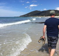 Rose Cottage sisters beach accommodation - Sunshine Coast Tourism