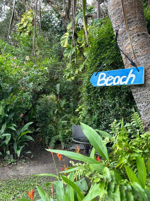 Absolute Beach Front Home -Dogs, Surf, Relax, Bush - Sunshine Coast Tourism 2