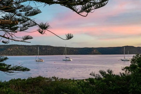 Absolute Beach Front House Panoramic Views - Holiday Sunshine Coast 3