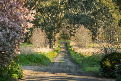 AL RU Farm - Sunshine Coast Tourism 2