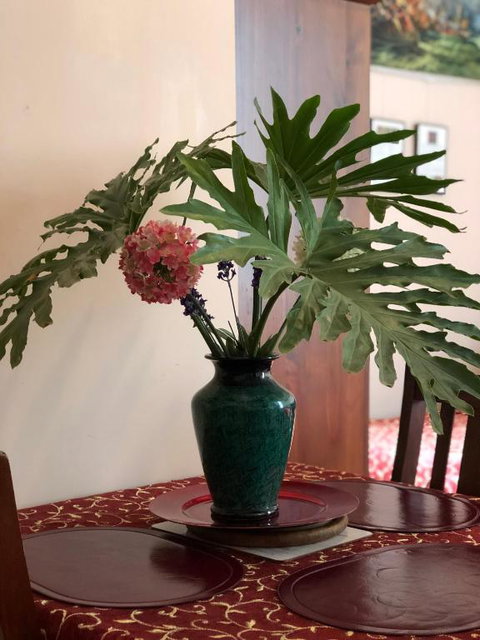 Albany Foreshore Guest House - Sunshine Coast Tourism 2