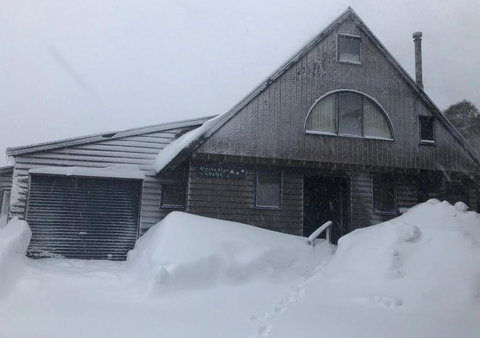 Alpine Star - Holiday Sunshine Coast 0