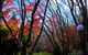Amaroo Guesthouse - thumb 2